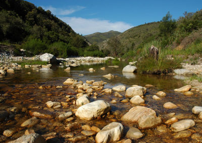 Bain's Retreat Accommodation
