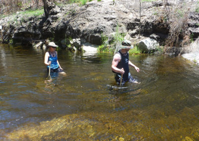 Prince Alfred's Pass Activities