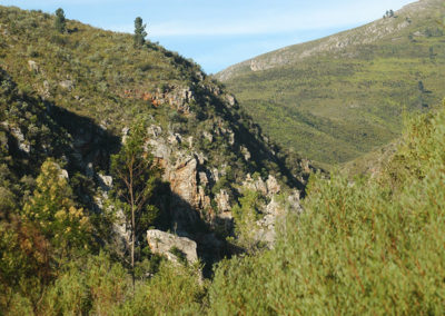 Prince Alfred's Pass Activities